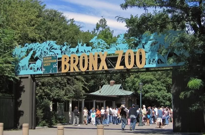 Bronx Zoo Nowy York