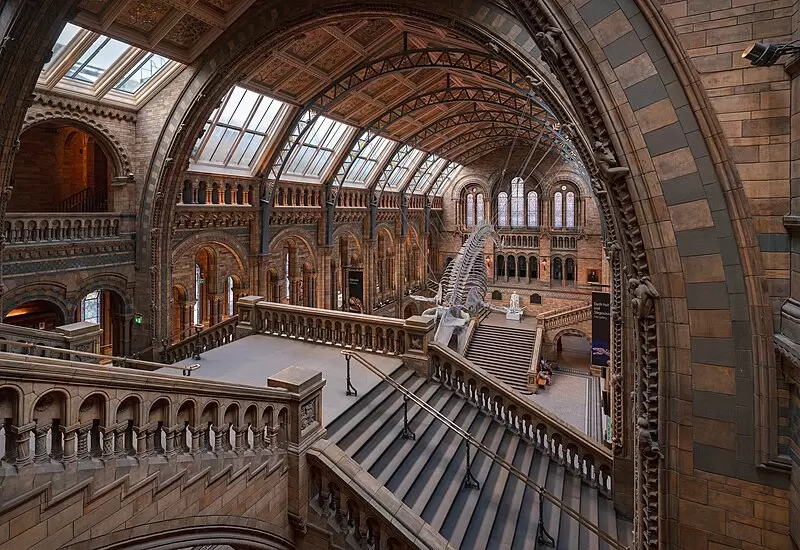 Natural History Museum w Londynie - Godziny otwarcia, Ciekawostki, Jak dojechać? 