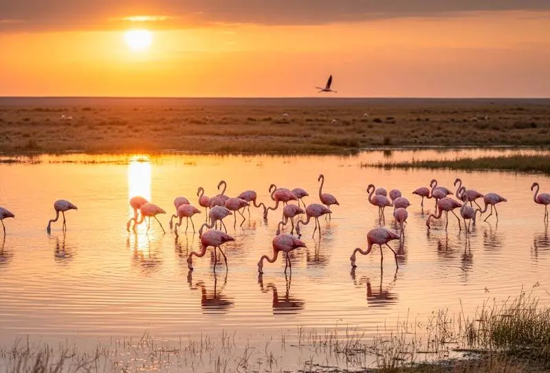 Astana i Ałmaty na weekend: przewodnik po atrakcjach i plan podróży